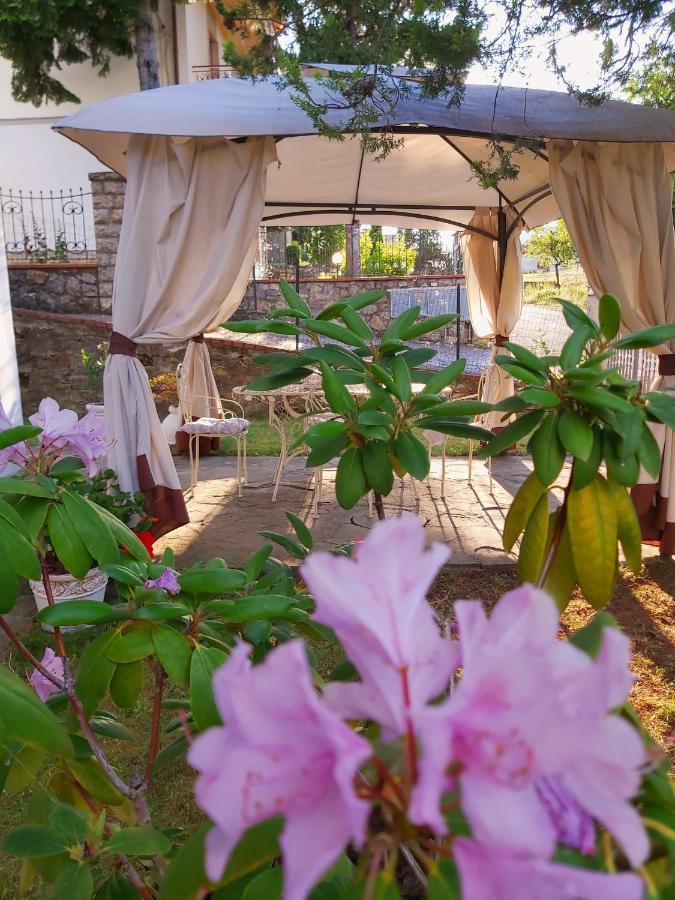 Villa Elvira Ambra Exteriér fotografie