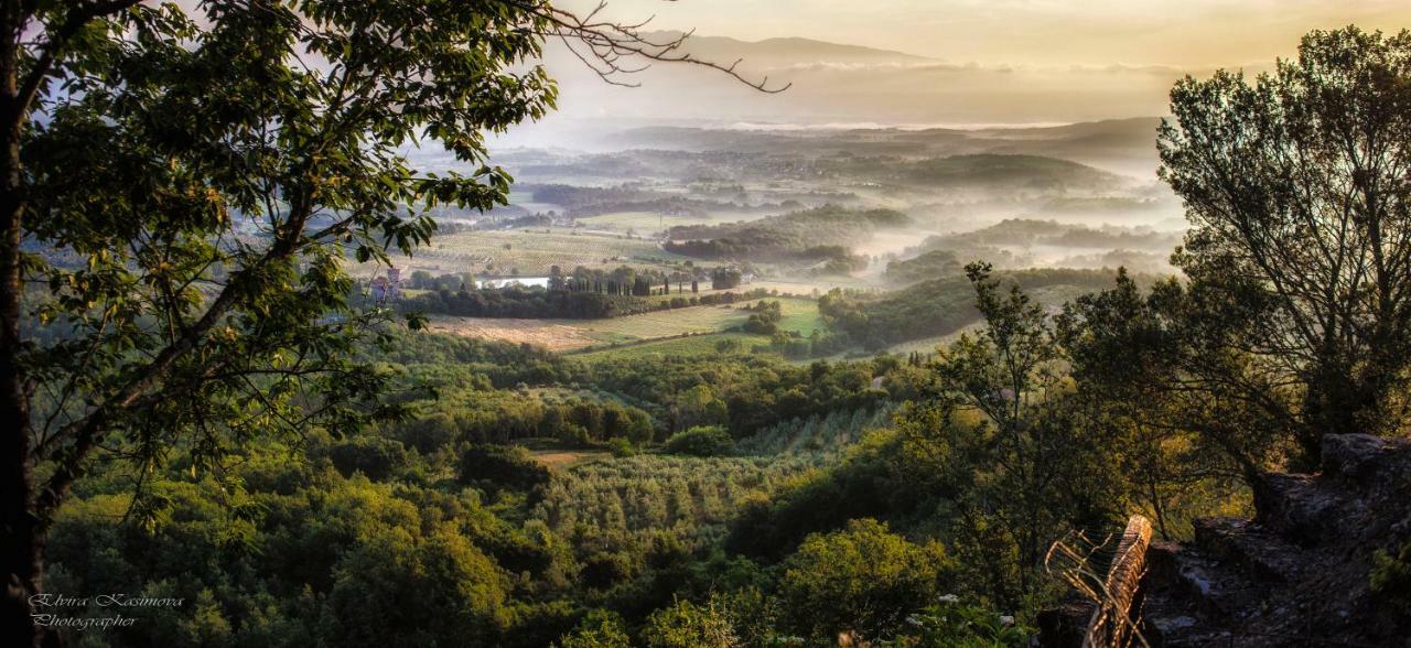 Villa Elvira Ambra Exteriér fotografie